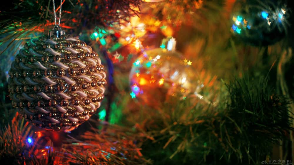 Искусственные елки приходят на смену настоящим