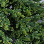 Елка Кассандра 2,40 м