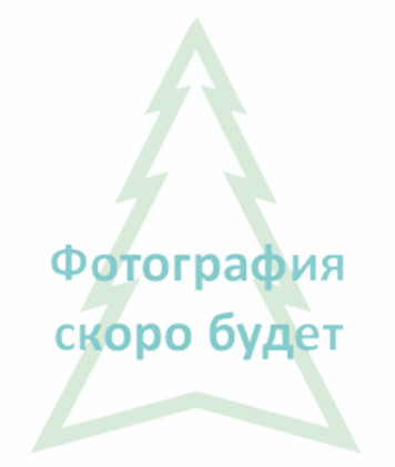 Елка Артемида 2,70м