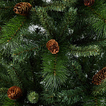 Елка Мендоза 1,52 м