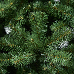 Елка Дакота 2,40м
