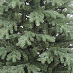 Елка Миранда 1,83м