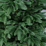 Елка Байкальская 5,00м, E4050