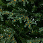 Елка Франклин 3,00 м