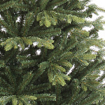 Елка Андрия 1,80 м